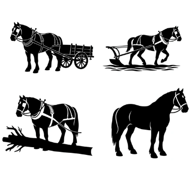 Draft Horse walking and pulling poses for art reference