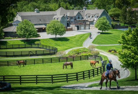 Draft Horse estate and manor landscape decoration ideas