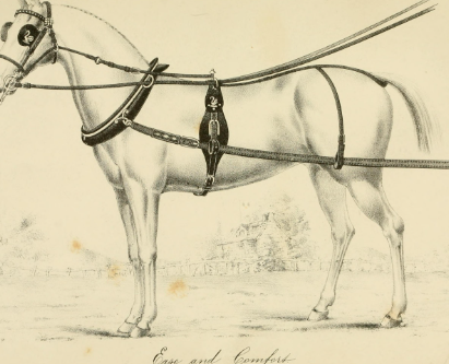 Draft Horse harness types and traditional equipment