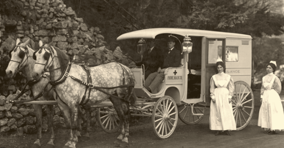 Draft Horse contribution to industrial era transportation