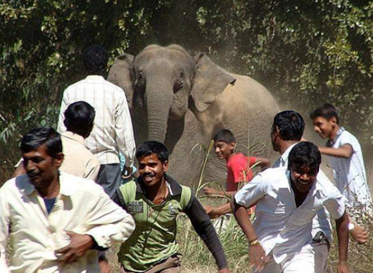 Draft Horse statues for farms and ranch entrances