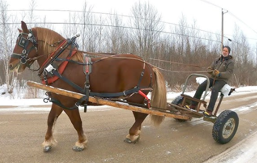 Draft Horse working gear maintenance and material selection