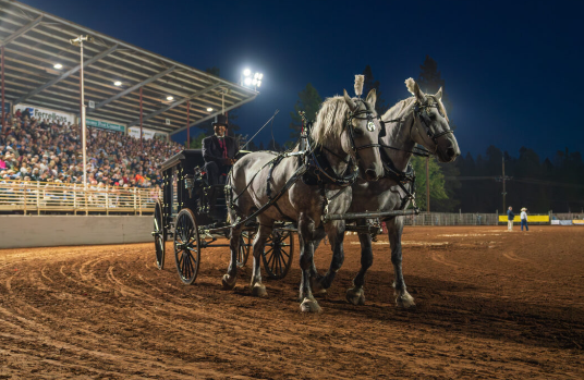 Draft Horse rural festivals and seasonal celebrations