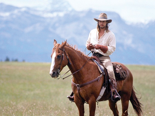 Draft Horse cinematic appearances in films and TV