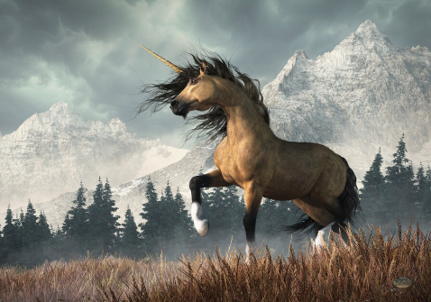 Fantasy Unicorn2
