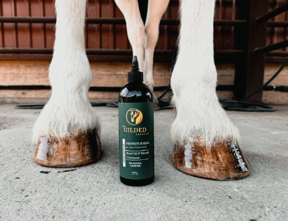 Best Time to Use Hoof Oil