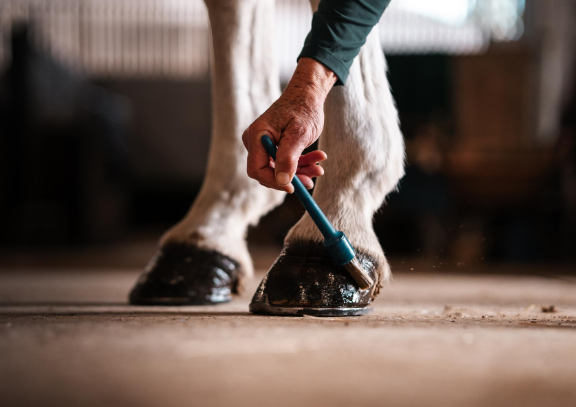 Do Horses Need Hoof Oil