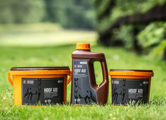 Best Nutrients for Horse Hooves