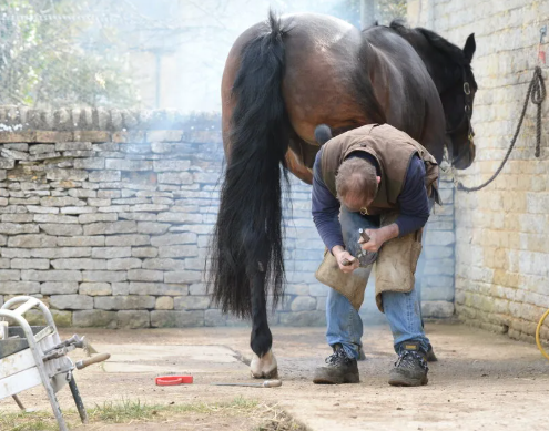 When to Call a Farrier