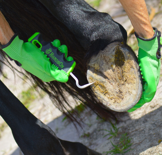 How to Use a Hoof Pick