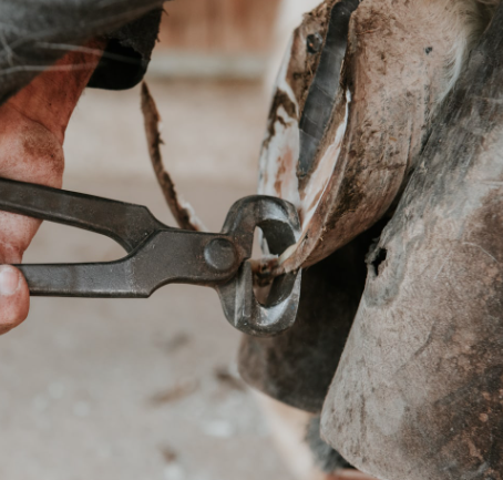 Simple Hoof Care Routine