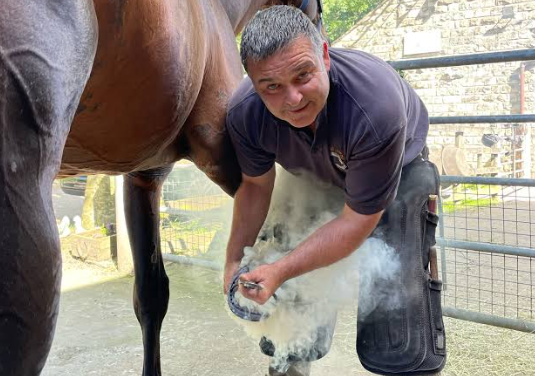 Bedding and Horse Hoof Health